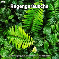 Regengeräusche, pt. 29 - Gunnar Oberhausen & Rain Sounds & Nature Sounds