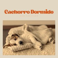 Soft Surf Security - Música Pura Para Perros