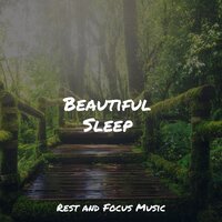 Radiant Relaxation - ZEN & Wellness & Tranquil Music Sound Of Nature
