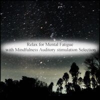 Journey & Bgm - Mindfulness Auditory Stimulation Selection