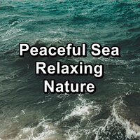 Cozy Wave Sounds Ocean Lullaby For Good and Deep Sleep - Ambient White Noise Ocean Waves & Calm Ocean Sound & Ocean Sounds for Sleep