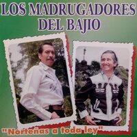 Amigos de Cantina - Los Madrugadores del Bajío