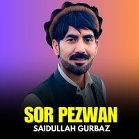 Meene Badnam Krama - Saidullah Gurbaz