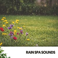 Rapsodia de ensueño reparador - Cat Music Therapy & Rain Sounds Nature Collection & Sonidos De Agua