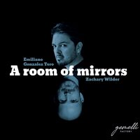 Sonata Quarta - Emiliano Gonzalez Toro & Ensemble I Gemelli