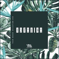 Own Thing - Fancy Inc