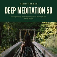 Study Zen - Meditation Day