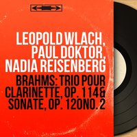 Sonate pour clarinette No. 2 in E-Flat Major, Op. 120 No. 2: III. Andante con moto - Allegro - Nadia Reisenberg & Paul Doktor & Иоганнес Брамс
