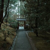 Alpha Waves - Life Sounds Nature & Echoes of Nature & Water Spa