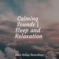 Calm & Chilled - Easy Sleep Music & Lullabys Baby Club & Serenity garden