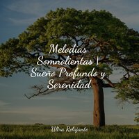 Ambiente de Sanación - Relajante Música de Piano Oasis & Sons da Natureza Relax & Meditacionessa