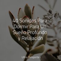 Viaje Pacífico - Relajante Musica & Musica Meditaction & Musica Para Dormir Bebes
