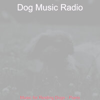 Understated Moods for Separation Anxiety - Dog Music Radio