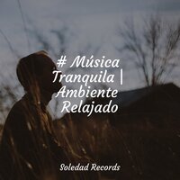 Me Siento Feliz - Meditacao Clube & Musica relajante con sonidos de la naturaleza & El hada de las canciones de cuna