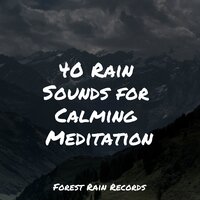 Birds in the Night - nature & Sounds Background & Lullabies for Deep Meditation & Sounds of Rain & Thunder Storms