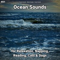 Ocean Sounds Part 72 - Coastal Sounds & Nature Sounds & Ocean Sounds