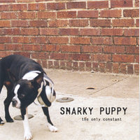 Open Forum - Snarky Puppy