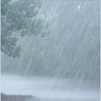 The Rain Dances on a Tin Roof - White Noise Alternative & Water Spa & Water Soundscapes & White Noise Alternatives & Water Sounds & Eternal Waters