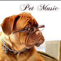Calmness - Pet Music World