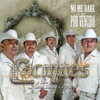 No Me Dare Por Vencido - Caciques de San Luis Potosi