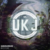 Justice - Samurai Breaks