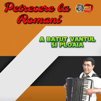 A batut vantul si ploaia - Petrecere la Romani