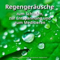 Klänge als Einschlafhilfe - Regengeräusche Kathleen Spangel & Naturgeräusche & Regengeräusche