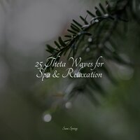 Sidewalk Rain - Spa & Spa & Ambient Music Therpy & Rainy Sounds