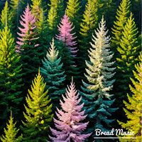 Hushed Forest - Bread Music
