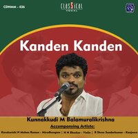Raama Nee Samaanamevaru - Karaharapriya - Adi - Karukurichi N. Mohan Raman & H. N. Bhaskar & B. Sree Sundar Kumar & Kunnakkudi M. Balamuralikrishna