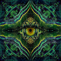 Feathered Serpent - Poranguí & Liquid Bloom & Jakare