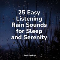 Forest, Evening, Calm, Birds - Sleep Sounds & Sleep Songs with Nature Sounds & Anxiety Relief