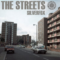 King Of Kings - Silverfox