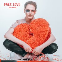 FAKE LOVE - Leo Luciano