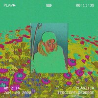 Las Hojas Caen Sin Piedad Alguna - Plastica