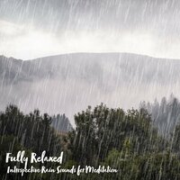 Introspective Rain Sounds for Meditation, Pt. 12 - Steve Brassel