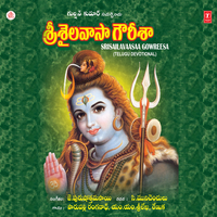 Srisaila Kovello - Ranganath & Renuka
