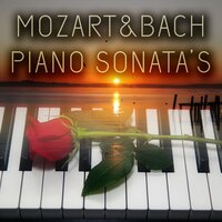 Trio Sonata in G Major, BWV 1039: III. Adagio e piano (Pt. 2) - Piano Music Reflection & Johann Sebastian Bach