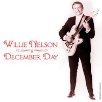 Face of a Fighter - Willie Nelson