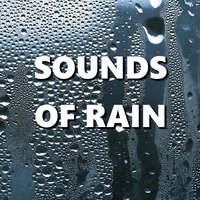 Vibrant Night Weather Sounds - Deep Sleep