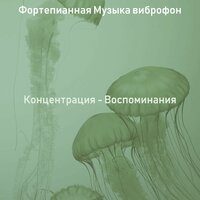 Атмосфера (Дождливые дни) - Фортепианная Музыка виброфон