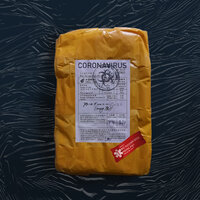 Coronavirus - Big Russian Boss & Young P&H