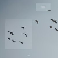 live - heylog & biteki & 静的 Static