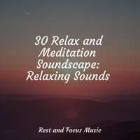 Tranquil Mountain Streams - ZEN & Ambientalism & Música para Relaxar Maestro