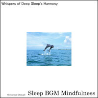 Embracing the Echoes of Self-Care - Sleep BGM Mindfulness