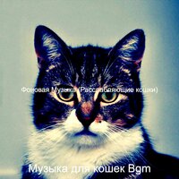 Видения (Кошки) - Музыка для кошек Bgm