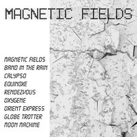 Magnetic Fields (Part 2) - Maxdown