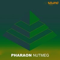 Algophilla - PHARAON
