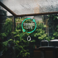 Raindrops on Perspex Roofing, Pt. 30 - Sounds Of Life