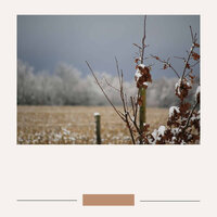High-class Ambiance for Lazy Days - Luxury Hotel Music